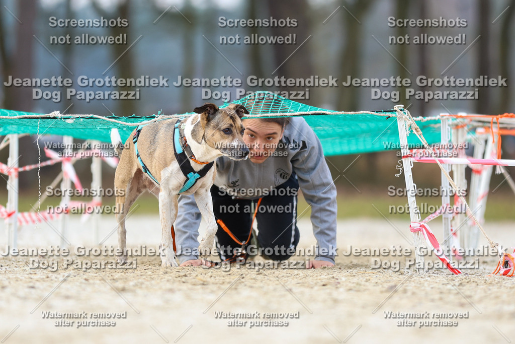 Dog Paparazzi - Strongdog North Mrz26-3930 | Dog Paparazzi Jeanette Grottendiek Fotografie & Videografie - Realisiert mit Pictrs.com