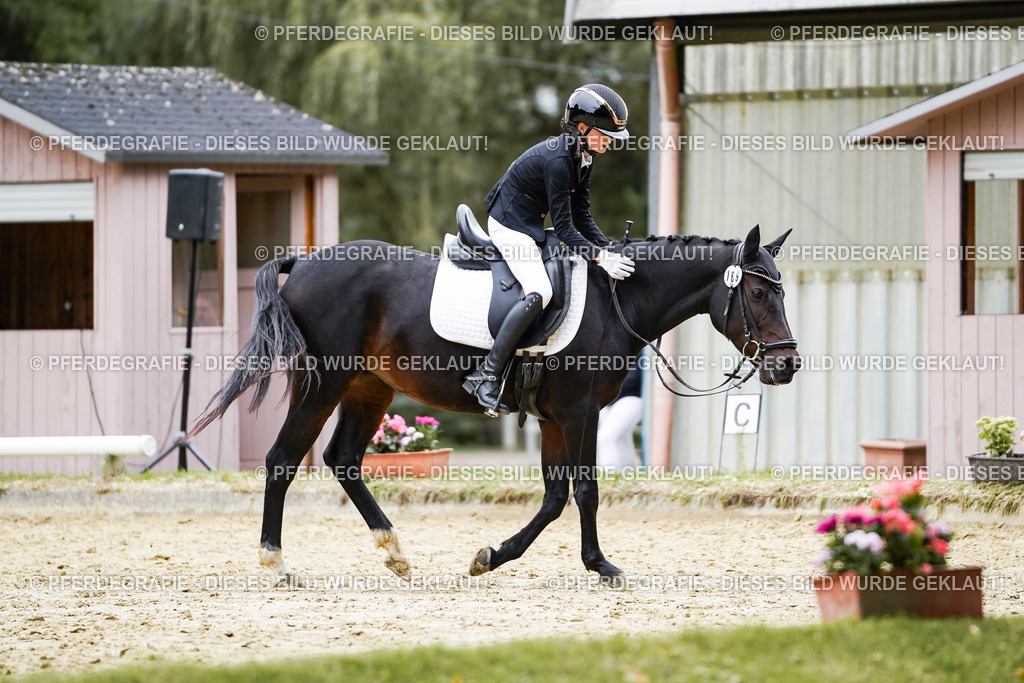 DSC09591 | Pferdegrafie