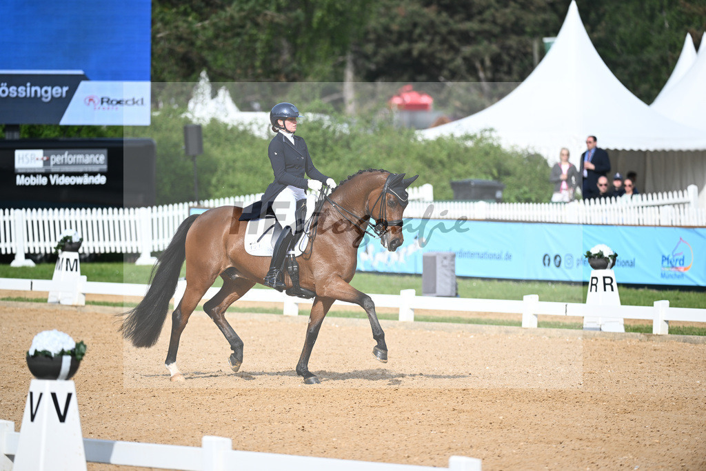 Kloessinger_Fidibaldi_12241612 | hf-fotografie - Realisiert mit Pictrs.com