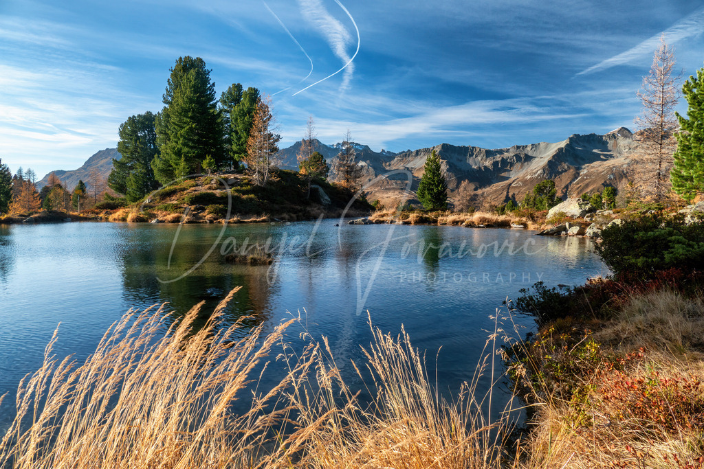 P2410099 | Professioneller Fotograf - Bildbestellung online - Wandbilder vom Profi für ihr Zuhause, Büro, Praxis, Firma - große Auswahl an Materialien und Formaten, über 1400 regionale Motive