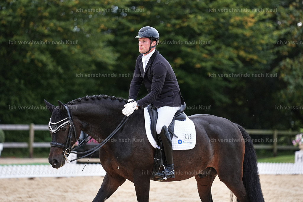3-213-Dressur M_-Marixx-2005 | working equitationturnier fotograf videograf stoibphotography marixx film working equitation deutschland reitsport turnierfotografie eventfotografie equestrian events