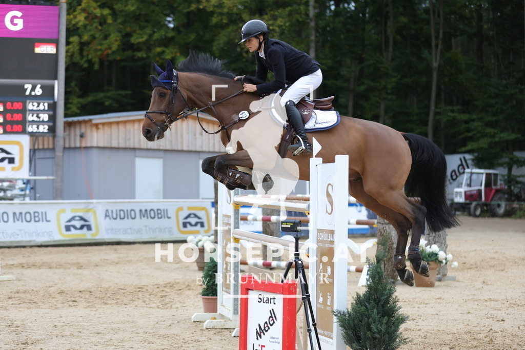 0P6A4486 | Willkommen bei Brunnmayr - Design & Fotografie – Ihrem Spezialisten für Reitturniere und Pferdeveranstaltungen in Oberösterreich, Salzburg und Bayern! Seit über 17 Jahren sind wir leidenschaftlich dabei.