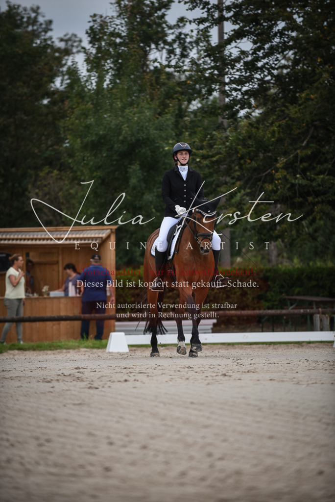 DSC_7990 | Pferde- und Turnierfotografie in Westsachsen. Pferdeportraits, Auftragszeichnungen und intuitive Kunst.