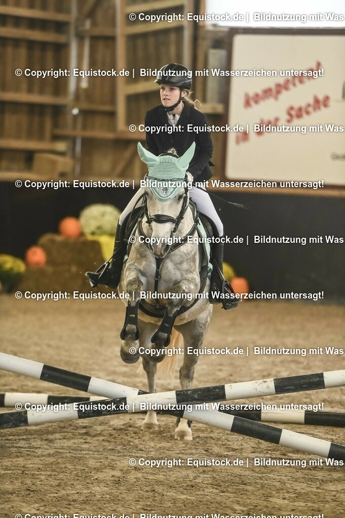 20231029_06_Springreiter-WB_0042 | Foto: Thomas Hartig