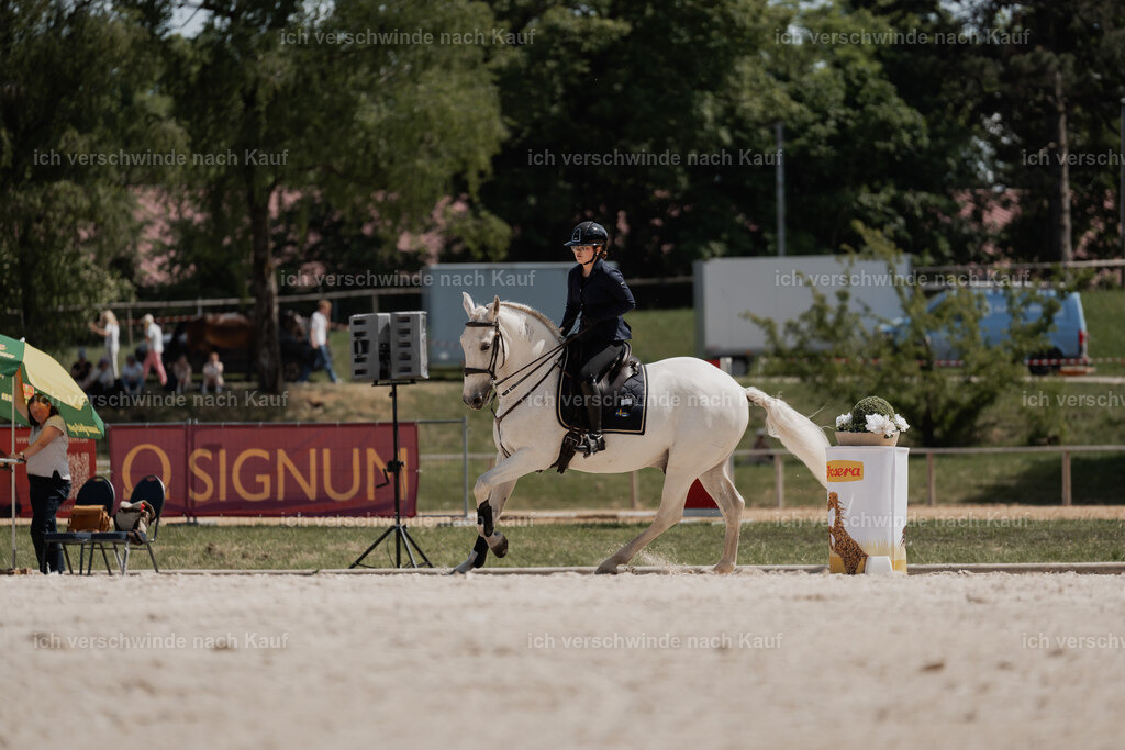 WE_SP_Stoib_318_PI2025_2091 | Pferd International München 2025