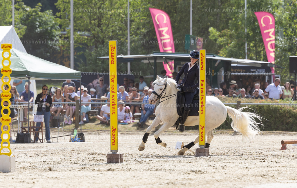 WM_Speed_YR_101_KerstinBernhardt | working equitationturnier fotograf videograf stoibphotography marixx film working equitation deutschland reitsport turnierfotografie eventfotografie equestrian events
