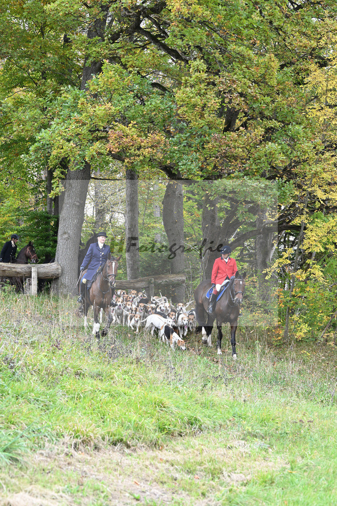 5622794 | hf-fotografie - Realisiert mit Pictrs.com