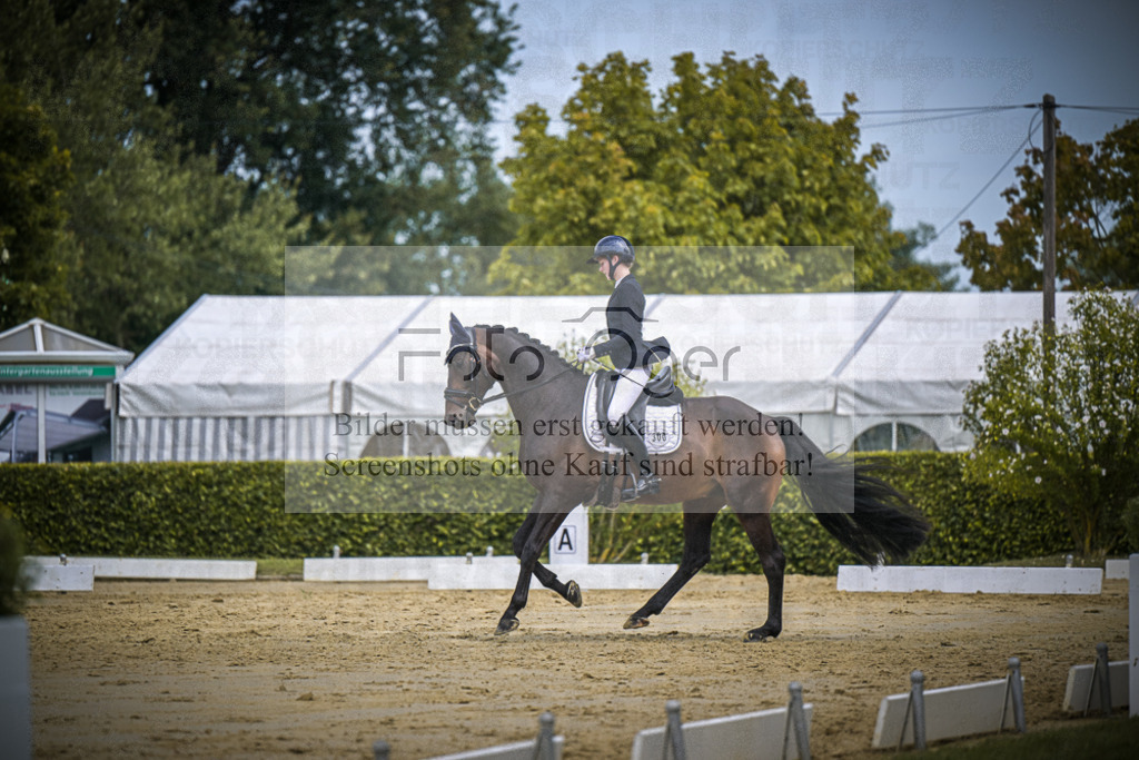 DOS_3302 | Entdecke hochwertige Reitturnierfotos von Foto Oger. Professionell, emotional und authentisch – jetzt Lieblingsmomente im Shop bestellen.Deutschlandweite Turnierfotografie. - Realisiert mit Pictrs.com