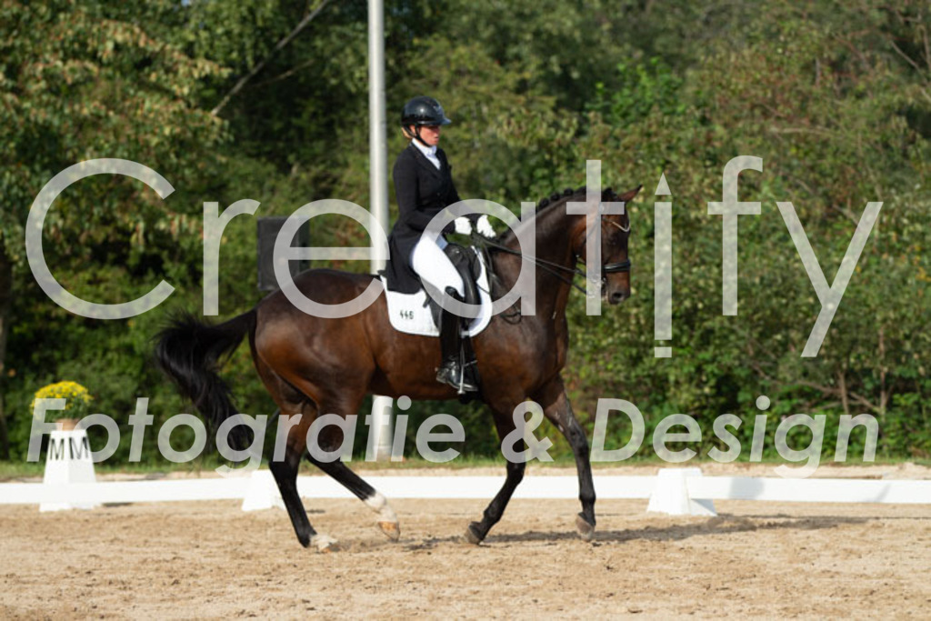 IMG_4733 | Creatify Fotografie