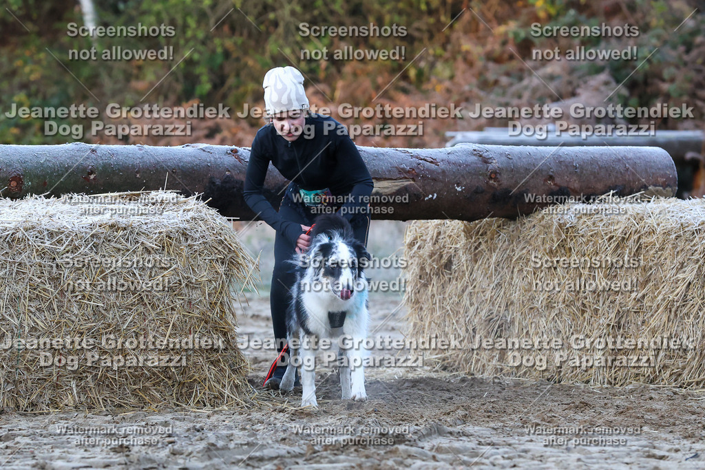 Dog Paparazzi - Strongdog 10-25-276 | Dog Paparazzi Jeanette Grottendiek Fotografie & Videografie