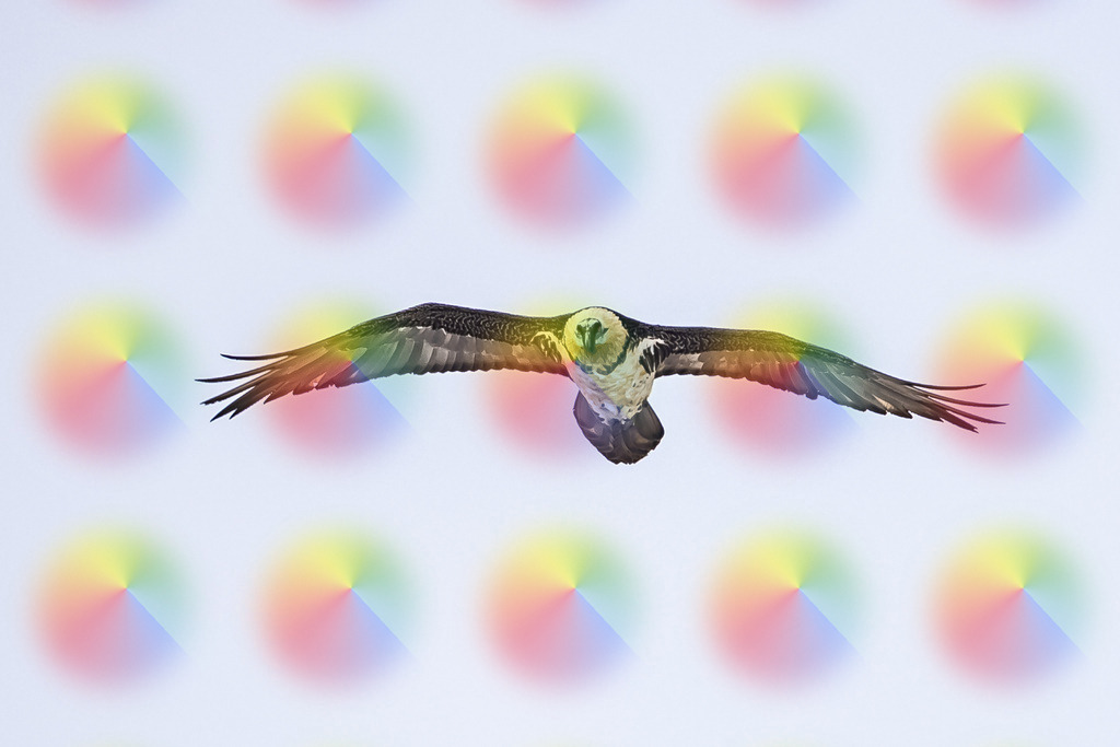 1M5A2610 | FineArtPrint, Hahnemühle, FeeGalerie, Fee Galerie, Fotokunst, Fotografie, Canonphotography, Bergfoto, Matterhorn, Rimpfischhorn, Allalinhorn, Saas-Fee, Wallis, Valais, Switzerland, Bergfotografie