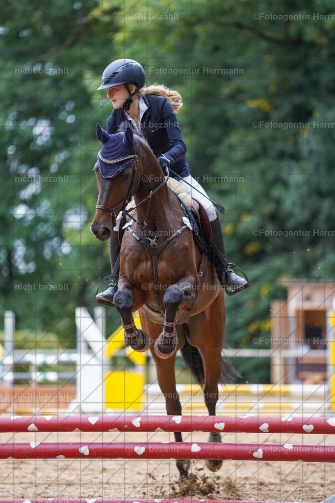 20231008-SN_01575 | Diessen am Ammersee, 2023, Dressur- und Springturnier, Reitsport, Turnierfotografie, Pferdebilder, Reitbilder, Turnierfotografen Bayern, Fotoagentur Herrmann