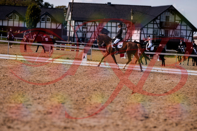 2026_10_03_Siefer-Hof_133143_Z81_86120753 | Professionelle Reitsport-, Turnier- und Eventfotografie von Robert Broda. Galerien mit ausgewählten und bearbeiteten Bildern direkt online ansehen und bestellen.