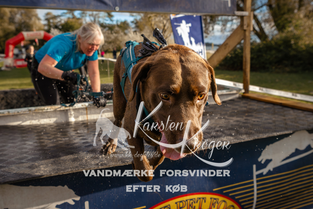 1559_ZZ97671 | kk-dogfotos