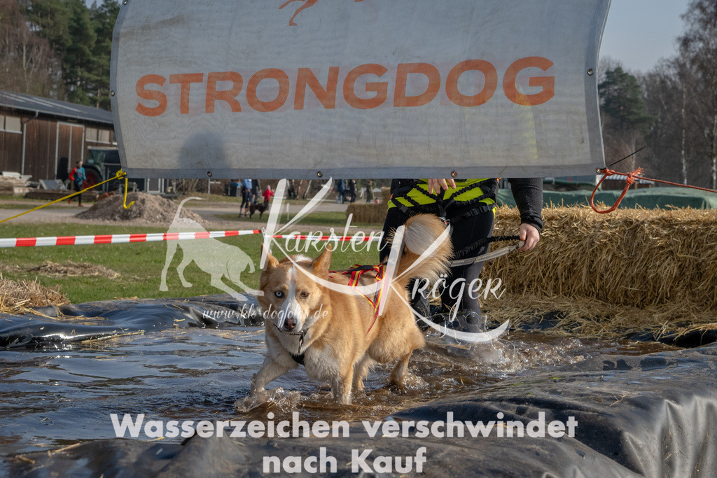 _ZZ90235 | kk-dogfotos