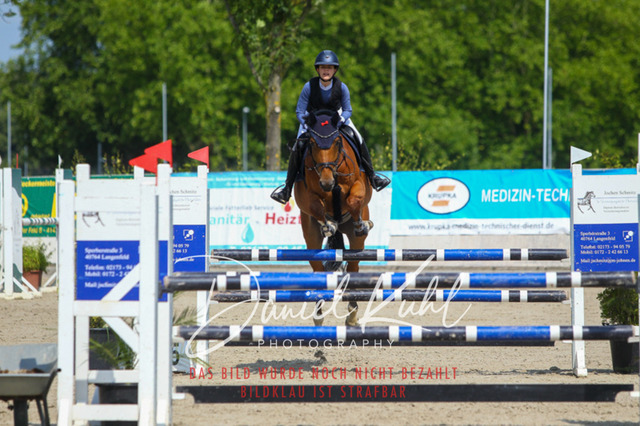 Gut Blee25_Amateuer Stilsprpfg Kl L_0296 | Turniersportfotografie; Pferdefotografie; Dressurfotografie