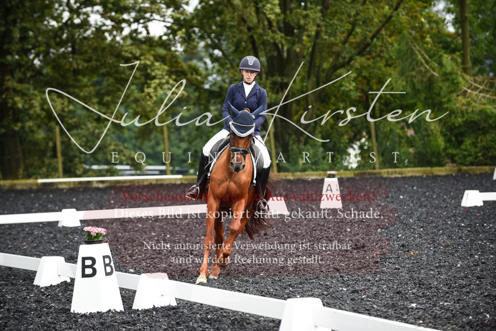 DSC_2921 | Pferde- und Turnierfotografie in Westsachsen. Pferdeportraits, Auftragszeichnungen und intuitive Kunst.