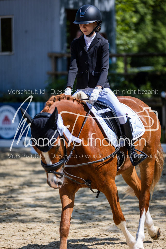 Donop24-RWB-067 | MomenTaufnahmen Pferdesportfotos