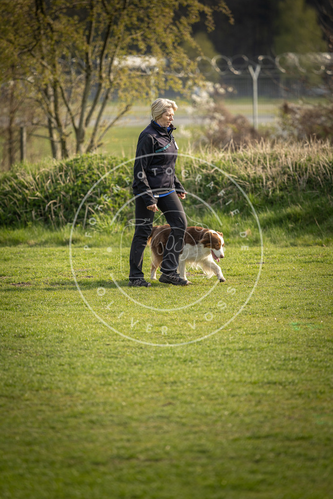 Pfotenfotografie_DV3A4783 | Hundefotografie, Tierfotograf, Pfotenfotografie, Fotoshooting Hund, Hunde Portrait, Hundesport, Hundeportraits, Heideshooting, Hunde, Sportfotograf, Hundefotograf, Turnierhundsport, THS,  - Realisiert mit Pictrs.com