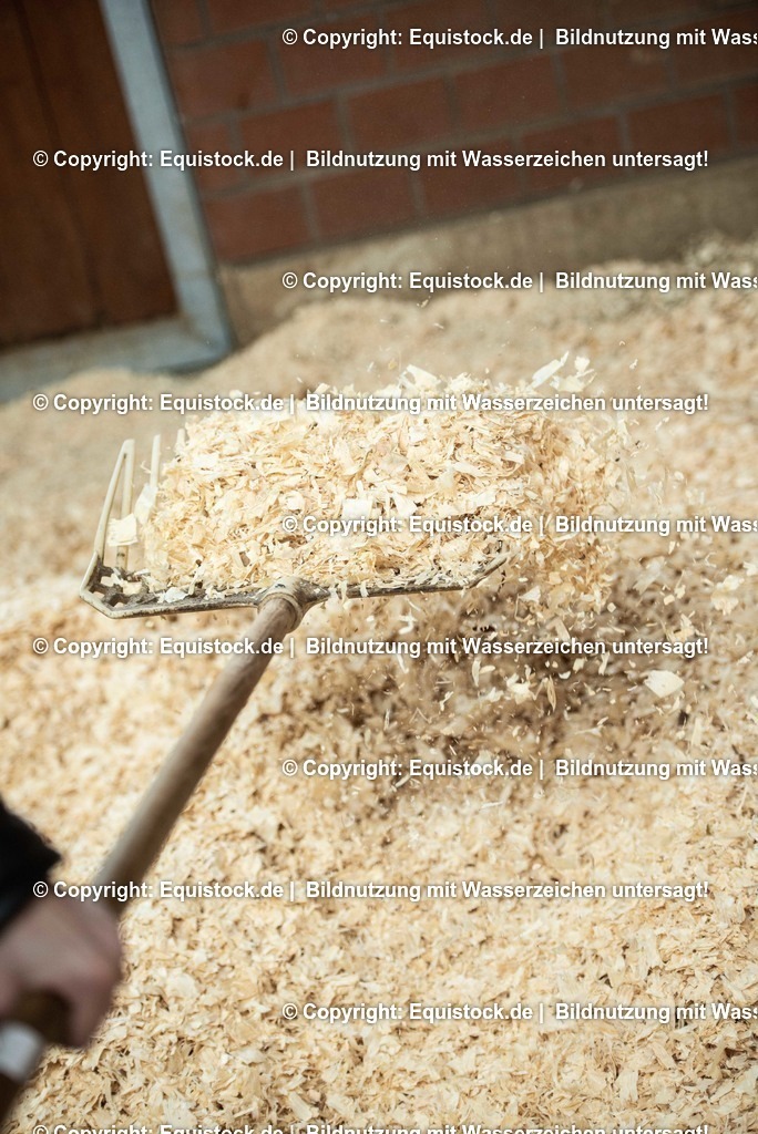 20190409_Einstreu_in_Pferdebox_0052 | Foto: Thomas Hartig