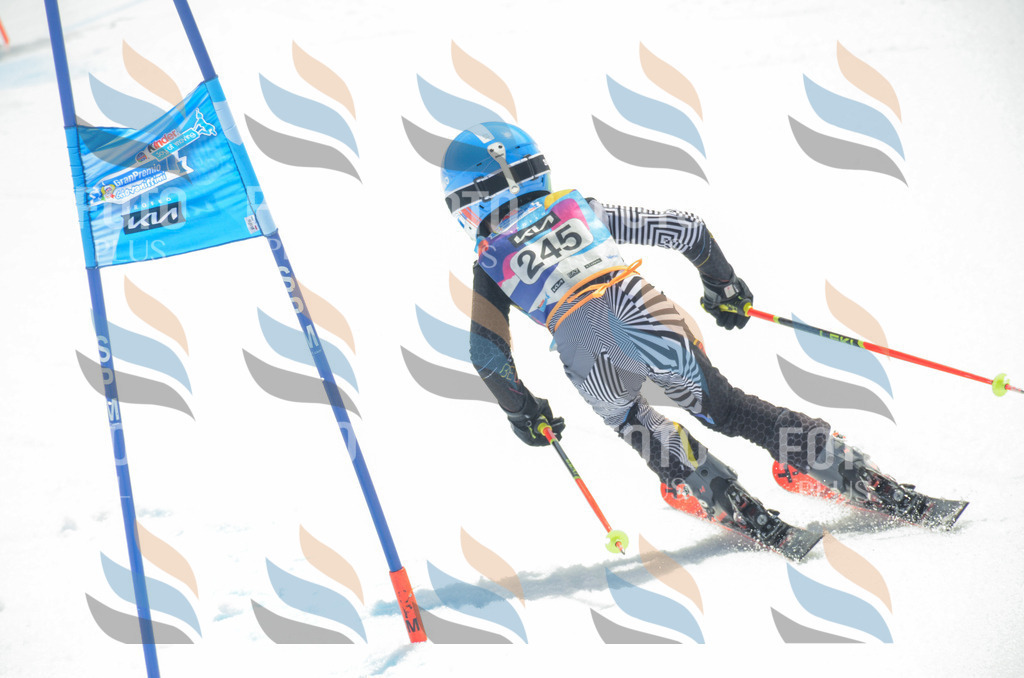 _ELE7485 | holidayphoto