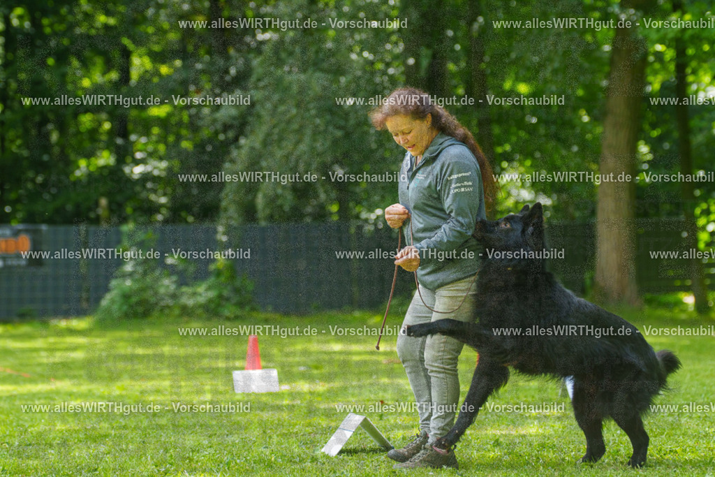 @allesWIRTHgut_Tierfotografie - www.allesWIRTHgut.de - 7R505663 | Professionelle Tierfotografie in Mönchengladbach von Daniel Wirth (allesWIRTHgut). Liebevolle & natürliche Bilder von Hunden & Katzen für unvergessliche Erinnerungen.