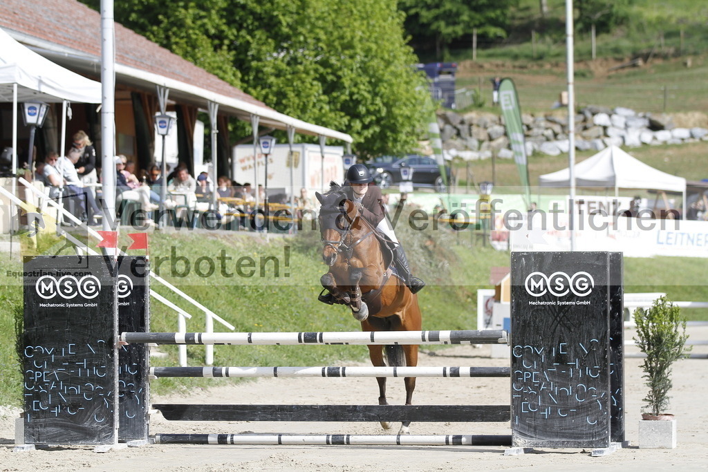 _MG_8646 | equestrian-live-com