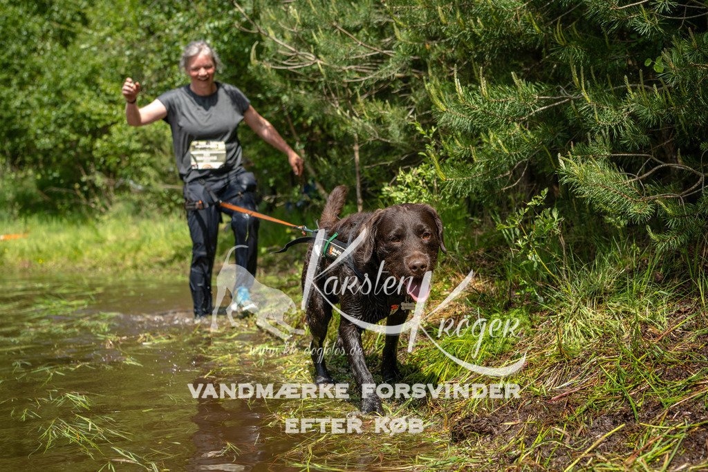 1257DKK993808 | kk-dogfotos