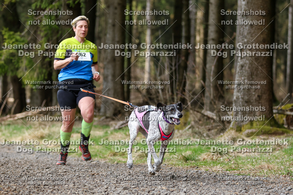 Dog Paparazzi - VCC26-371 | Dog Paparazzi Jeanette Grottendiek Fotografie & Videografie - Realisiert mit Pictrs.com