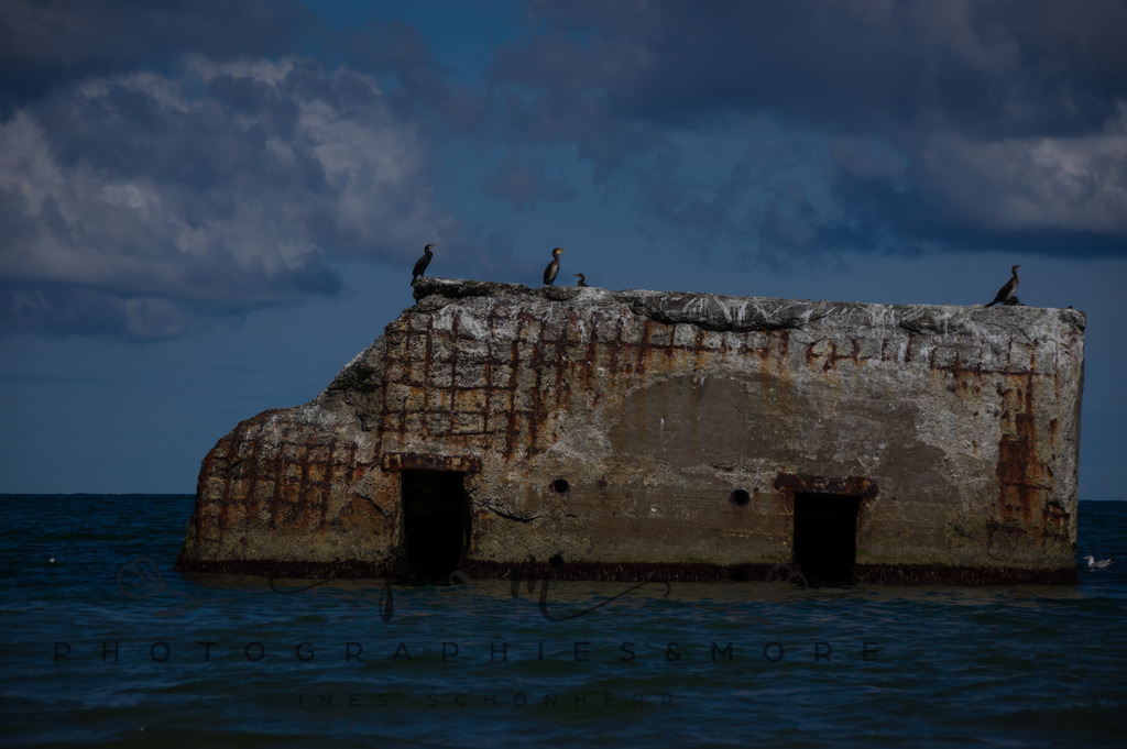 _Sommer2022-0538 | Photographies and more - Realisiert mit Pictrs.com