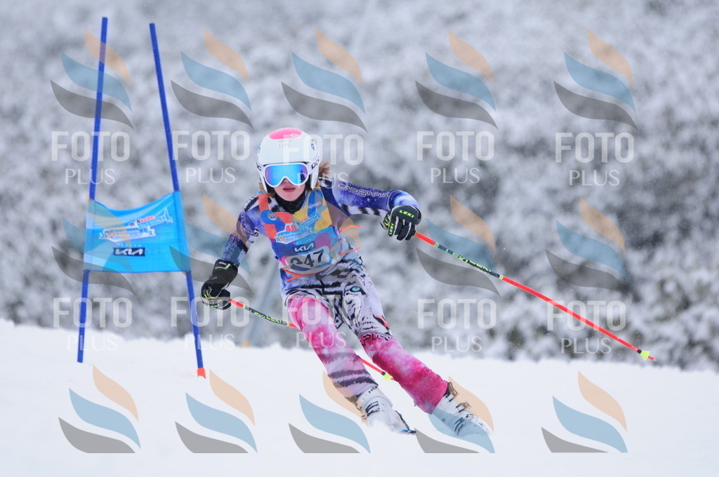 C3722 | holidayphoto