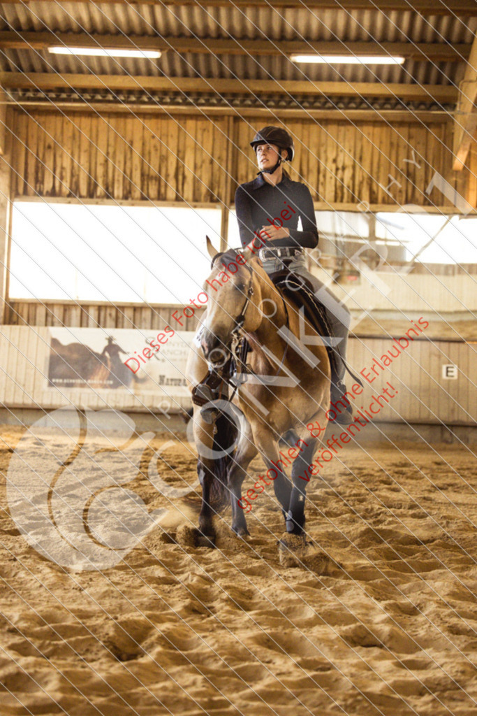 IMG_5111 | Sport-, Event- und Tierfotos in Profiqualität. Einfach auswählen, bestellen und herunterladen. Dein Moment – perfekt festgehalten.