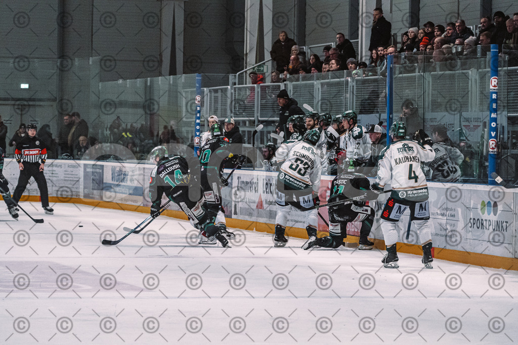 Alligators_vs_Erding_01_02_2026-51 | Höchstadt Alligators Fotogalerie: Eishockey-Action aus Franken. Professionelle Spielfotos, Portraits & Stadionbilder zum Download. Jetzt entdecken! - Realisiert mit Pictrs.com