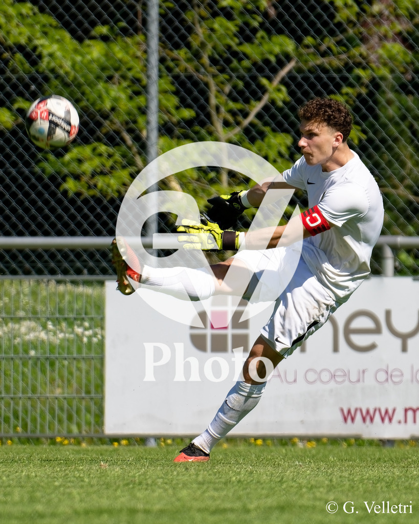 DSC_8299 | Velletri Photo