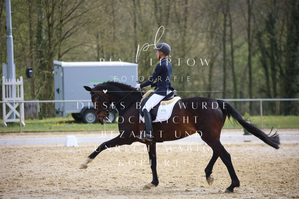 IMGT4925 | pl-fotografie