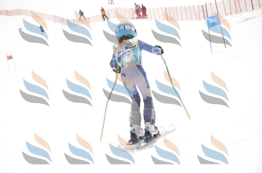 _ELE8523 | holidayphoto