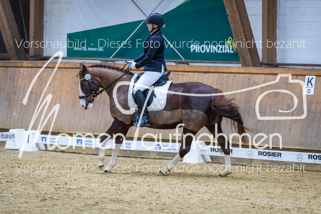 Sth-WBO25-EDr-103 | MomenTaufnahmen Pferdesportfotos