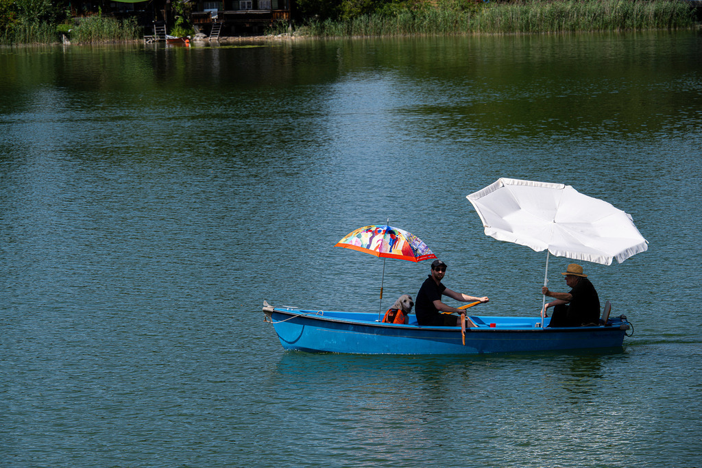 Entspannte Momente auf dem Staffelsee: Per Boot durchs Blaue Land | Ein Bild wie aus einem Bilderbuch-Sommer am Staffelsee bei Murnau: Gemütlich gleitet das blaue Ruderboot über das tiefblaue, sanft gewellte Wasser. An Bord genießen zwei Männer gemeinsam mit ihrem Hund die wohltuende Erfrischung – gut geschützt unter einem bunten und einem weißen Sonnenschirm. Im ruhigen Hintergrund spiegeln sich dichte Baumkronen und urige Holzhütten am Ufer wider. Eine herzerwärmende Szene, die Entschleunigung, sommerliche Leichtigkeit und die zeitlose Idylle Oberbayerns ausstrahlt. - Realisiert mit Pictrs.com