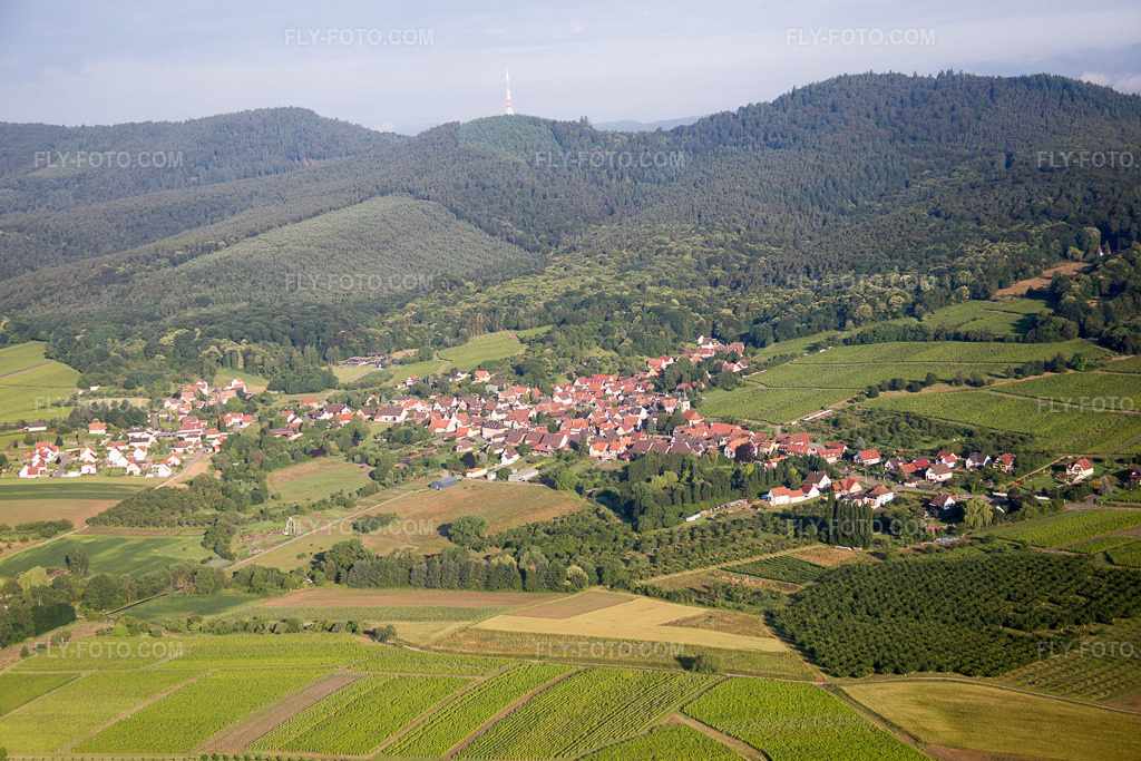 Aerial view: View of the town in Rott in the state Bas-Rhin, France.Photo: IMG_089948.jpg taken on 06/26/2016 by Werner Riehm/FLY-FOTO.comResolution of the original: 5472 x 3648 px