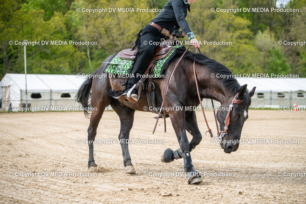 Heiligenwald Tag 2-2222 | dv-media-shop - Realisiert mit Pictrs.com