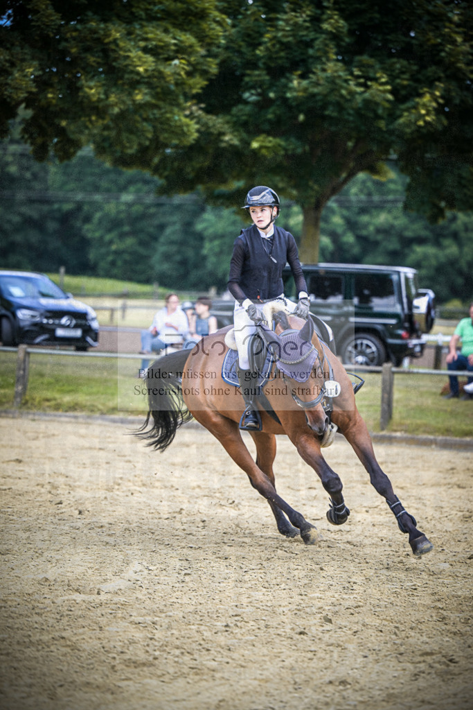 DOS_1967 | Entdecke hochwertige Reitturnierfotos von Foto Oger. Professionell, emotional und authentisch – jetzt Lieblingsmomente im Shop bestellen.Deutschlandweite Turnierfotografie. - Realisiert mit Pictrs.com