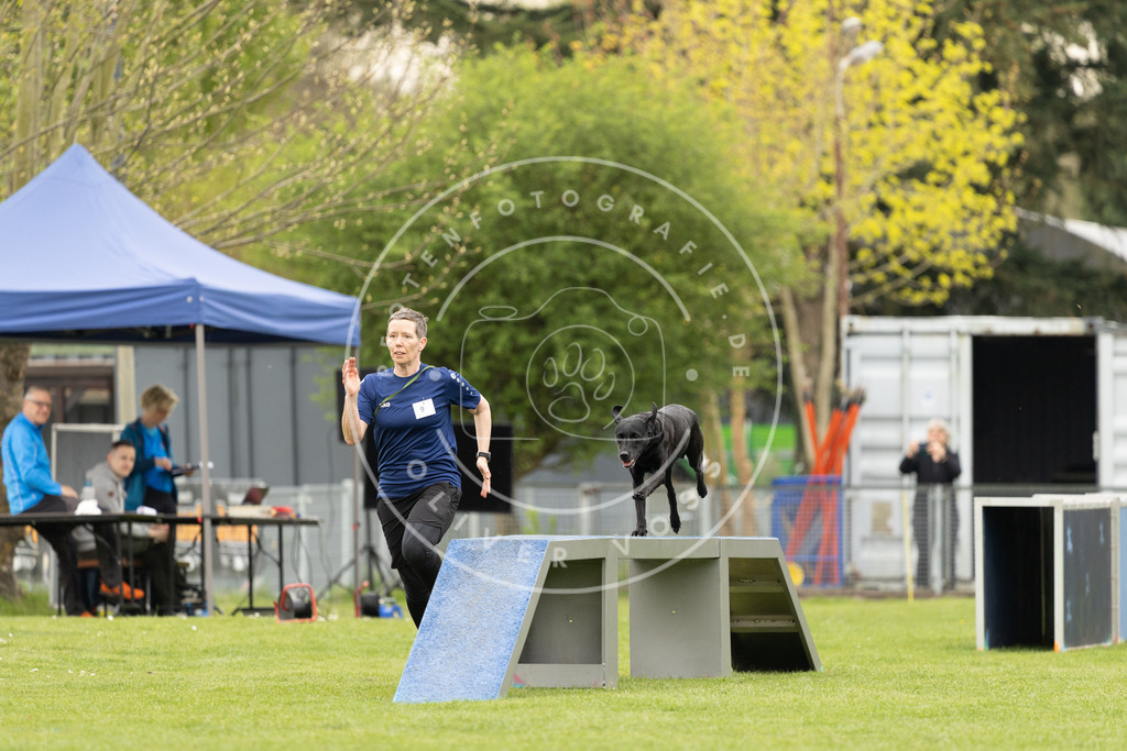 Pfotenfotografie_DV3A9189 | Hundefotografie, Tierfotograf, Pfotenfotografie, Fotoshooting Hund, Hunde Portrait, Hundesport, Hundeportraits, Heideshooting, Hunde, Sportfotograf, Hundefotograf, Turnierhundsport, THS,  - Realisiert mit Pictrs.com