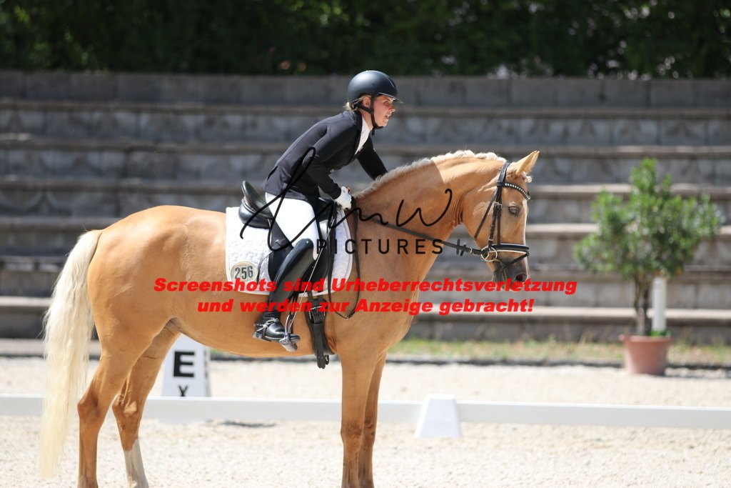 IMG_4643 | lmwpictures - Realisiert mit Pictrs.com