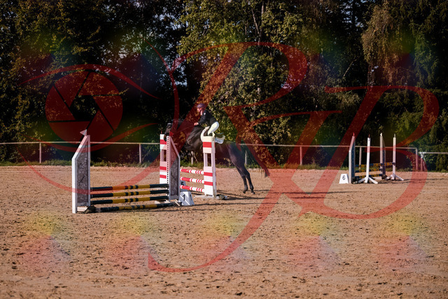 2026_10_03_Siefer-Hof_154950_Z81_68710937 | Professionelle Reitsport-, Turnier- und Eventfotografie von Robert Broda. Galerien mit ausgewählten und bearbeiteten Bildern direkt online ansehen und bestellen.