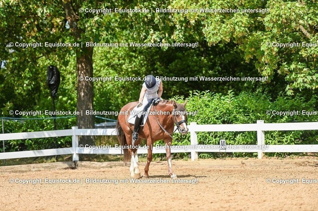 20230716_01_Dressurprüfung Kl.M_0269 | equistock
