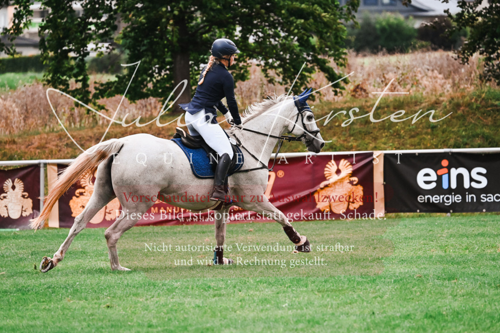 DSC_6024 | Pferde- und Turnierfotografie in Westsachsen. Pferdeportraits, Auftragszeichnungen und intuitive Kunst.