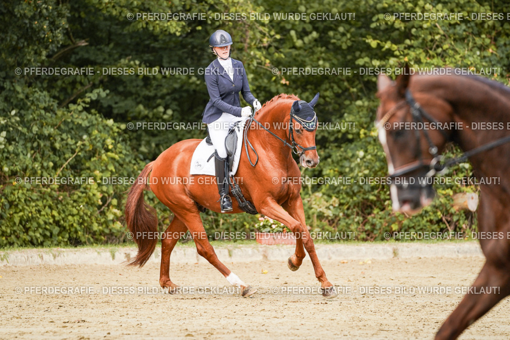 DSC02830 | Pferdegrafie