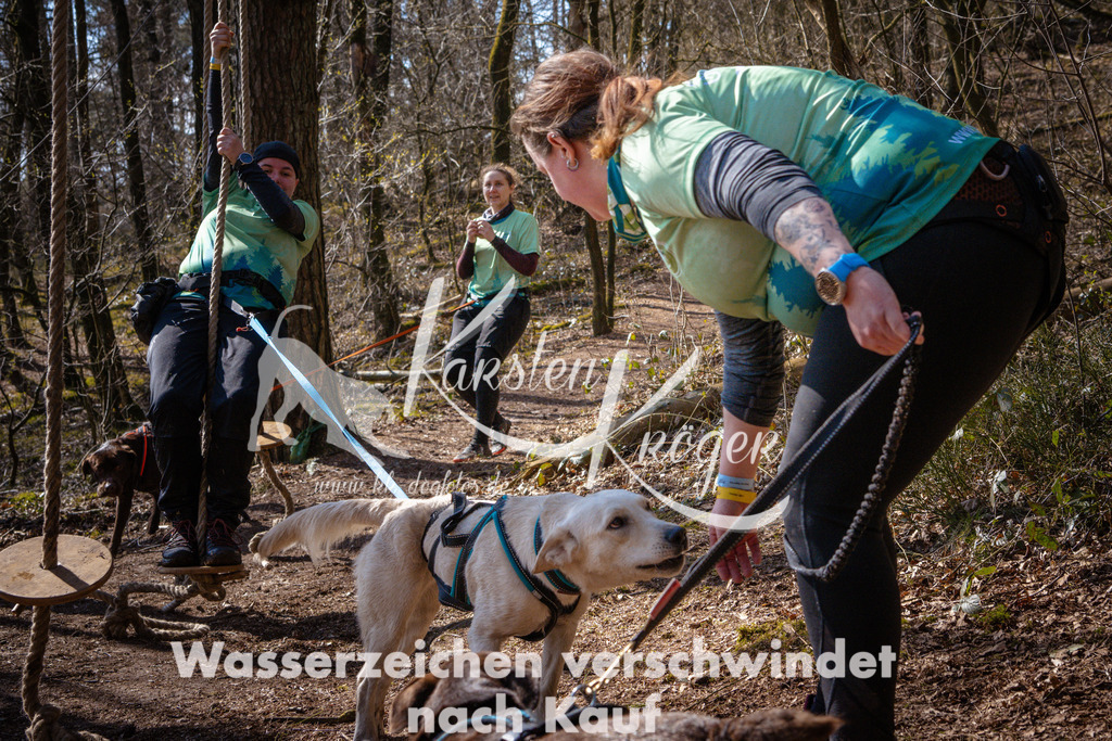 1122_ZZ97799 | kk-dogfotos