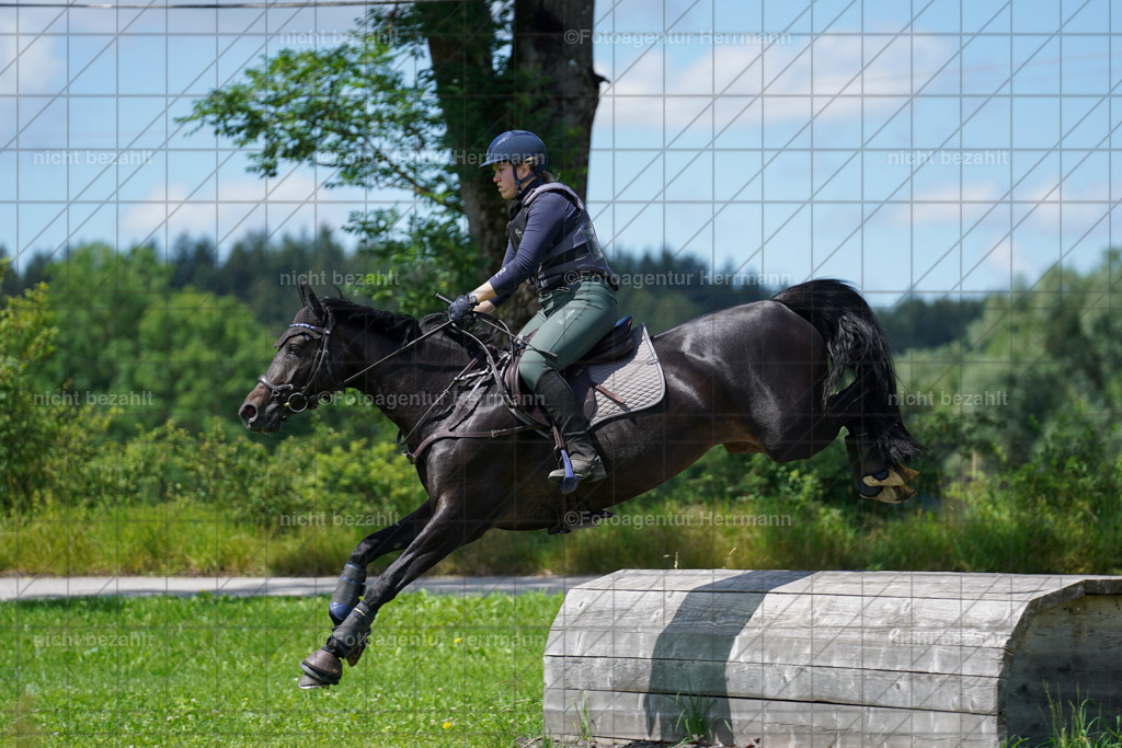 20240622-FAH06810 | Turnierfotografen Bayern, Reitsportbilder aus dem Geländekurs mit Felix Etzel auf dem Gut Waitzacker 2024