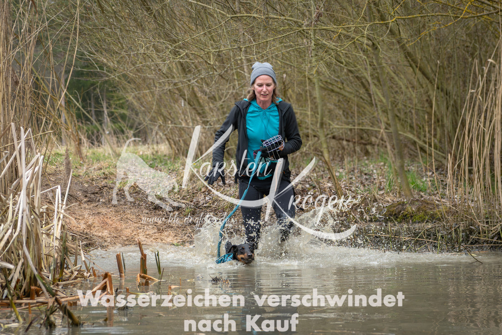 1356_ZZ94998 | kk-dogfotos